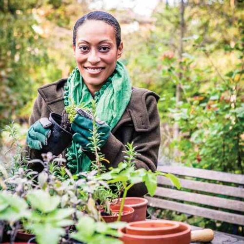 Small-Space Food Gardens